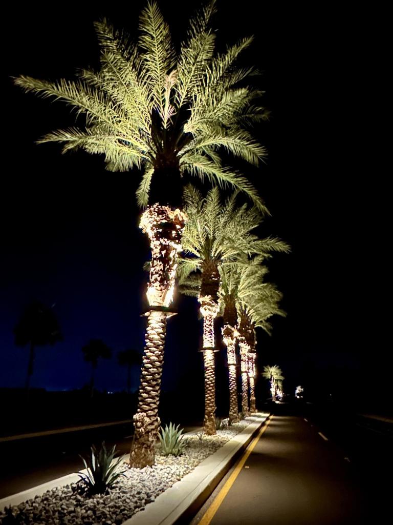 MLS #219136334DA image #65