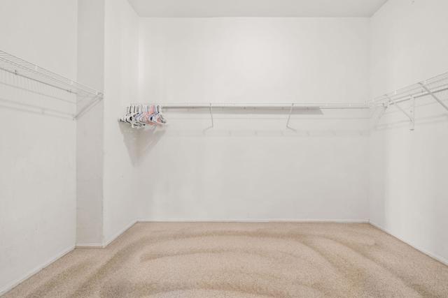 MLS #219136354DA image #26