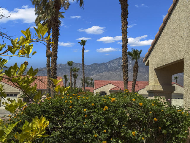 MLS #219136424DA image #30