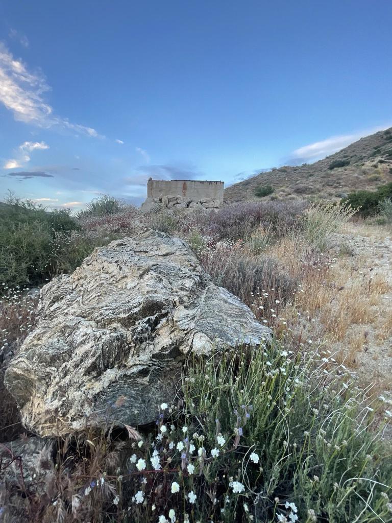 MLS #219136498DA image #10