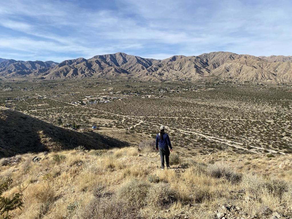 MLS #219136498DA image #5