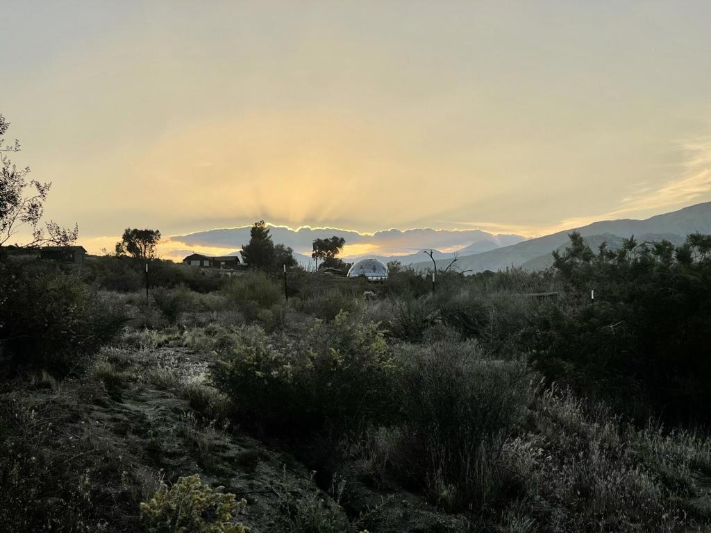 MLS #219136498DA image #8