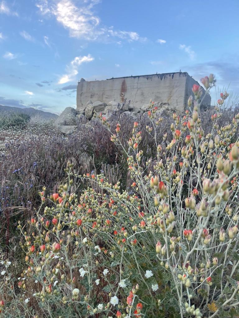 MLS #219136498DA image #9