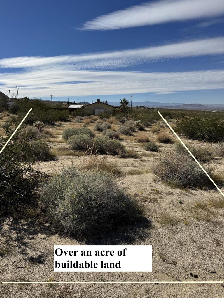 MLS #219136523DA image #4