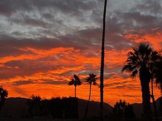 MLS #219136543DA image #47