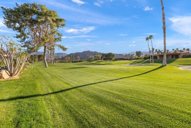 MLS #219136544DA image #7