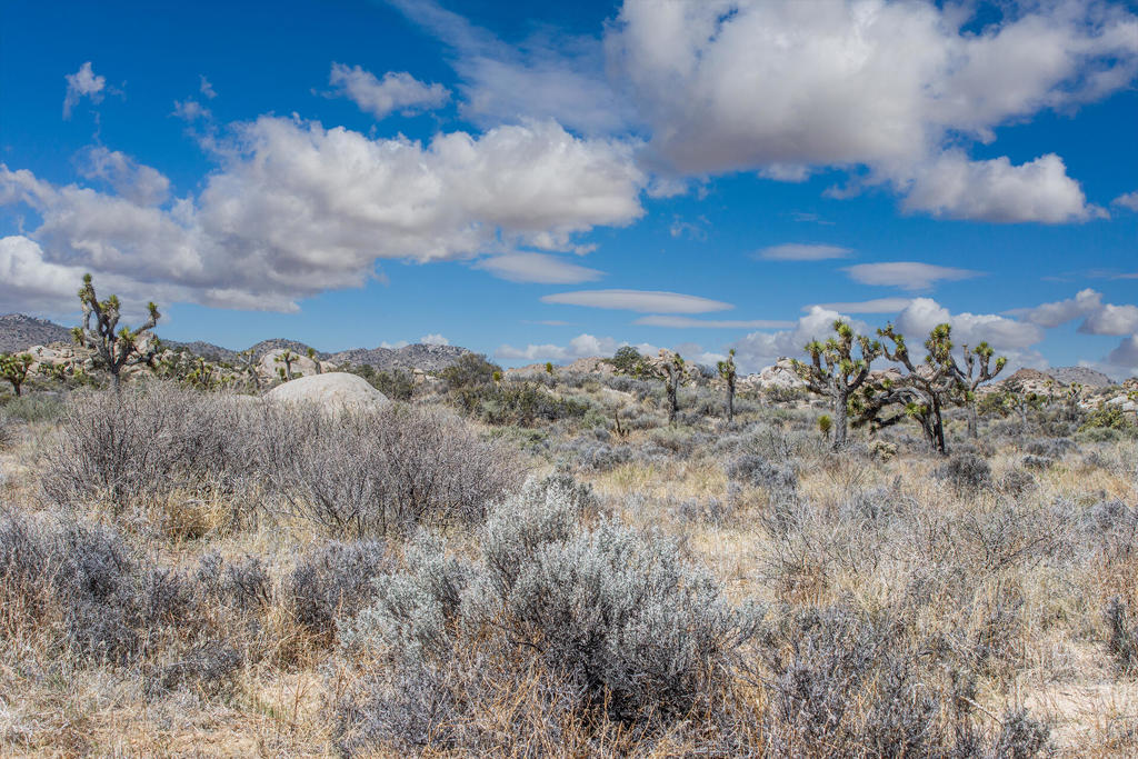 MLS #219136632PS image #16