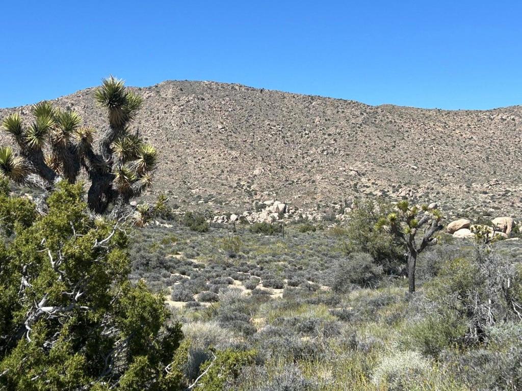 MLS #219136632PS image #17