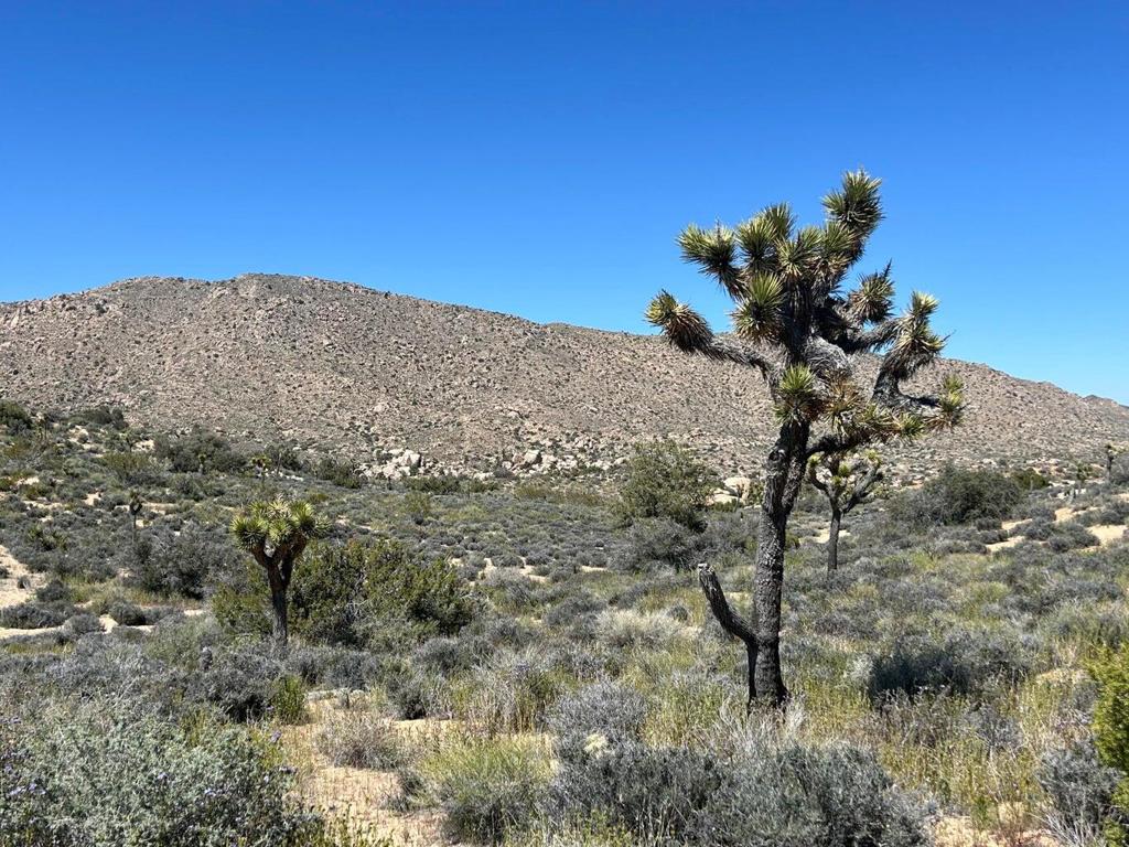 MLS #219136632PS image #19