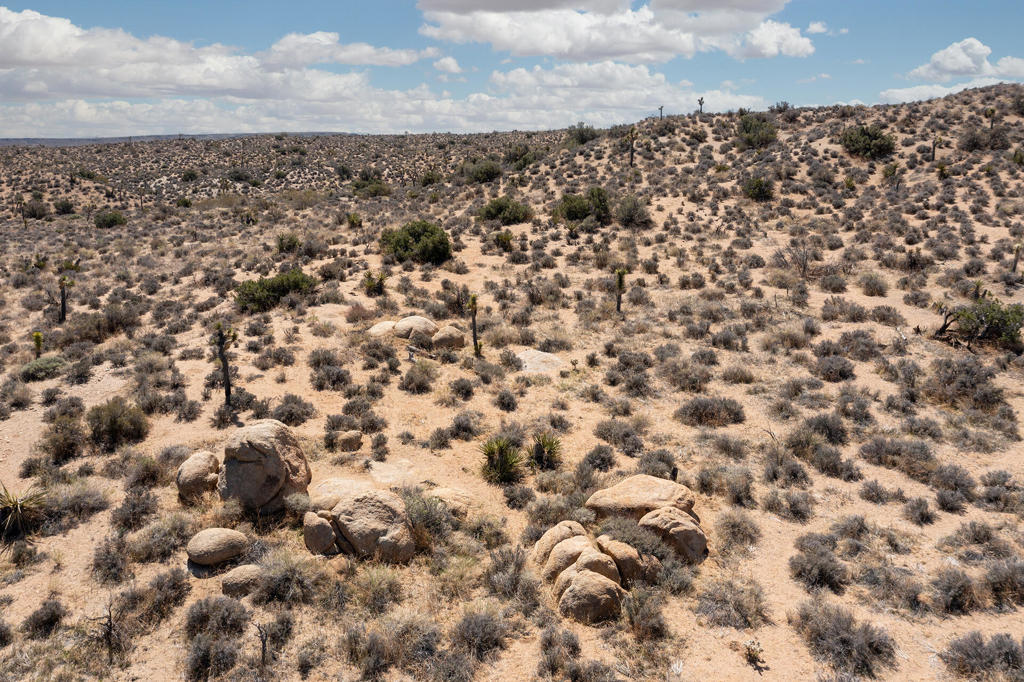 MLS #219136632PS image #21