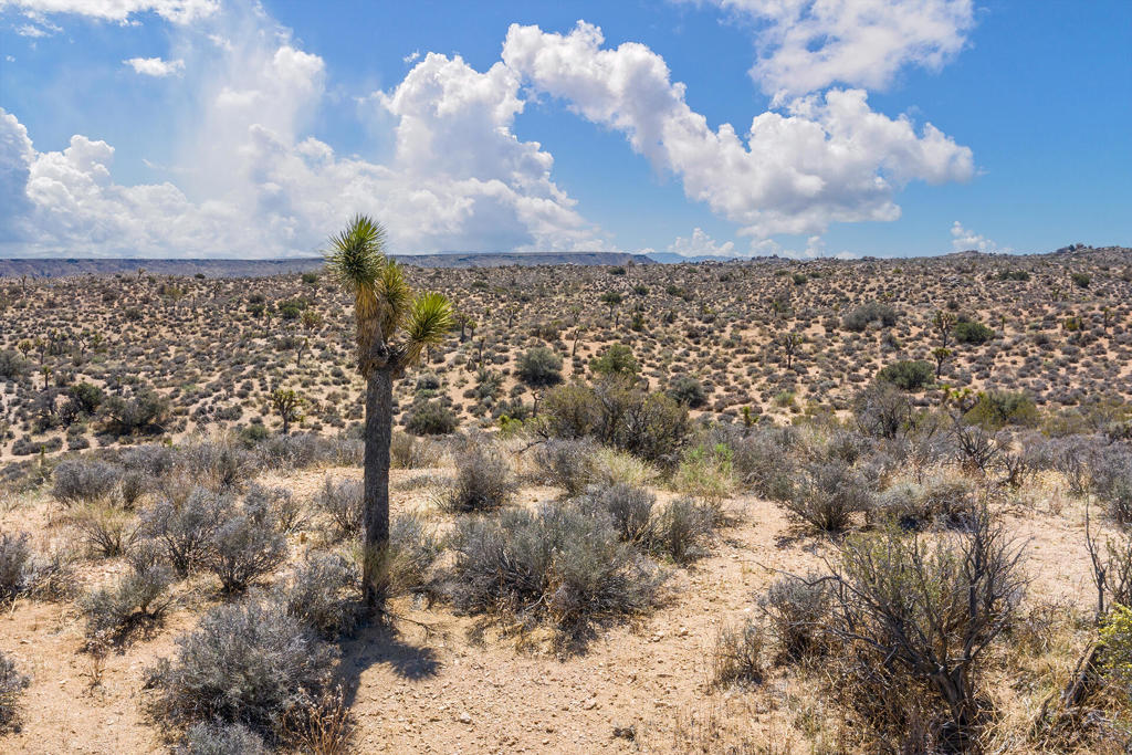 MLS #219136632PS image #22