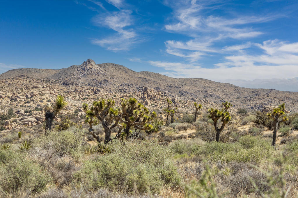 MLS #219136632PS image #3