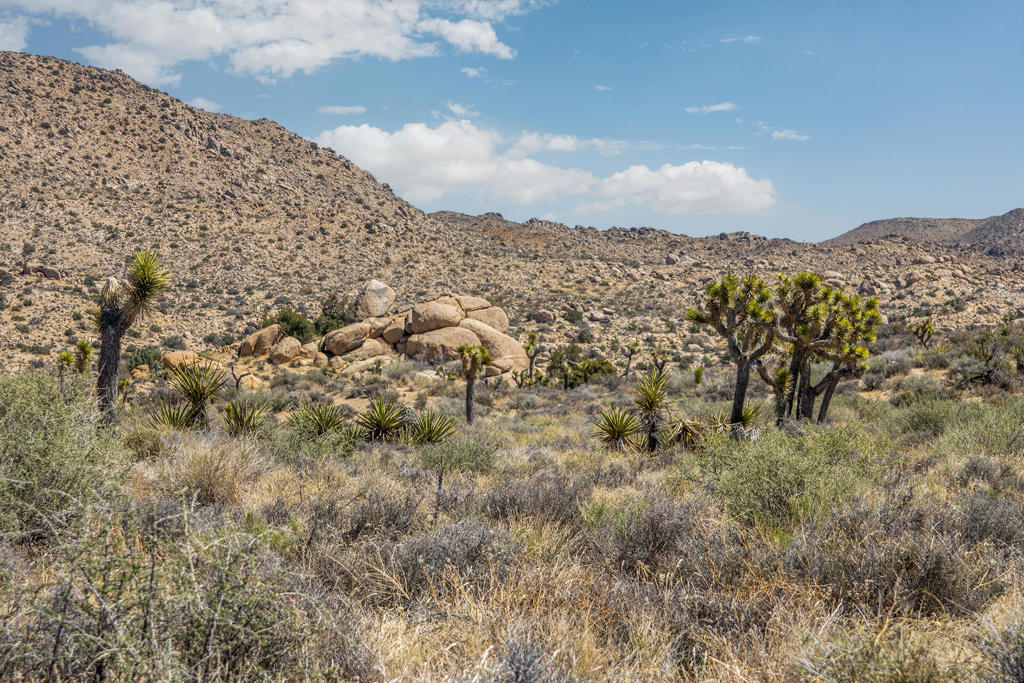 MLS #219136632PS image #9