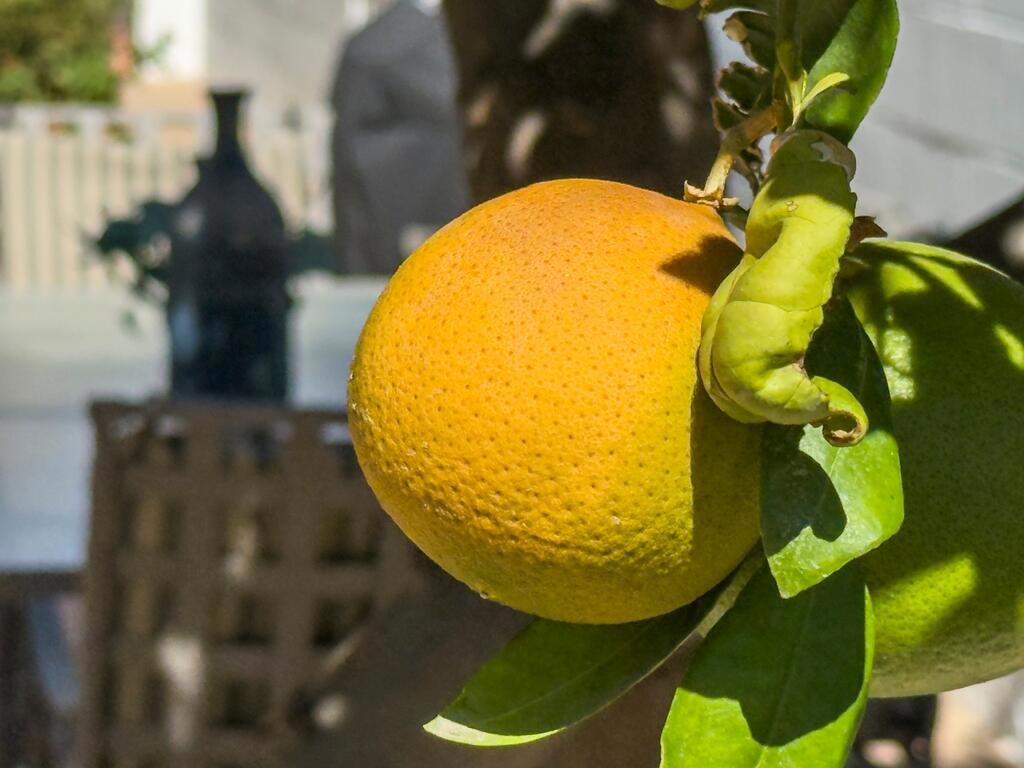 MLS #219136643DA image #36