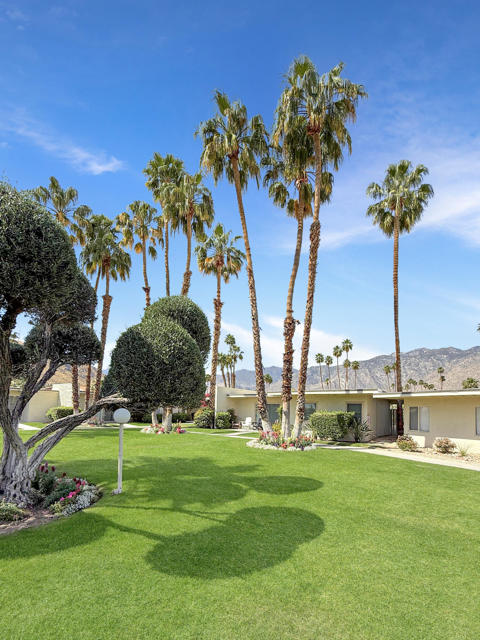 MLS #219136645PS image #37