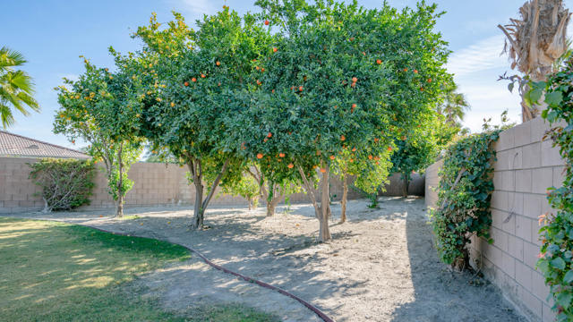 MLS #219136722DA image #11