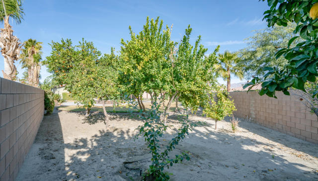 MLS #219136722DA image #13