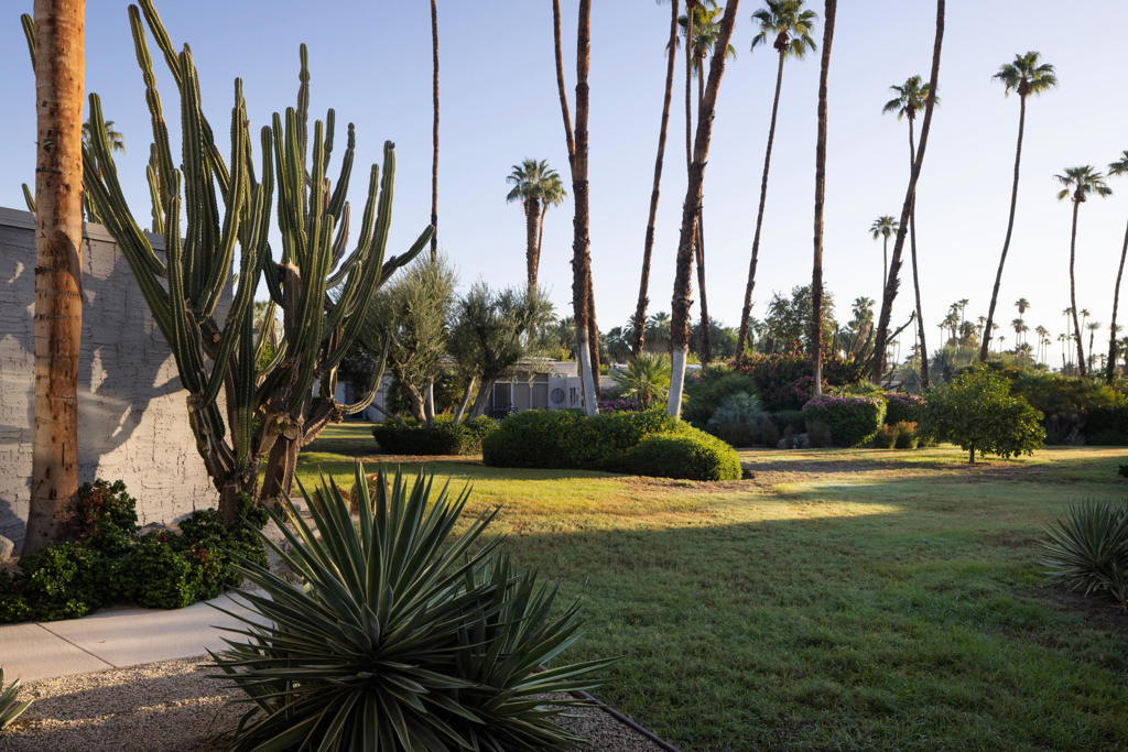 MLS #219136759DA image #36