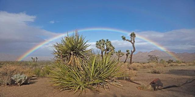 MLS #219132365PS image #44