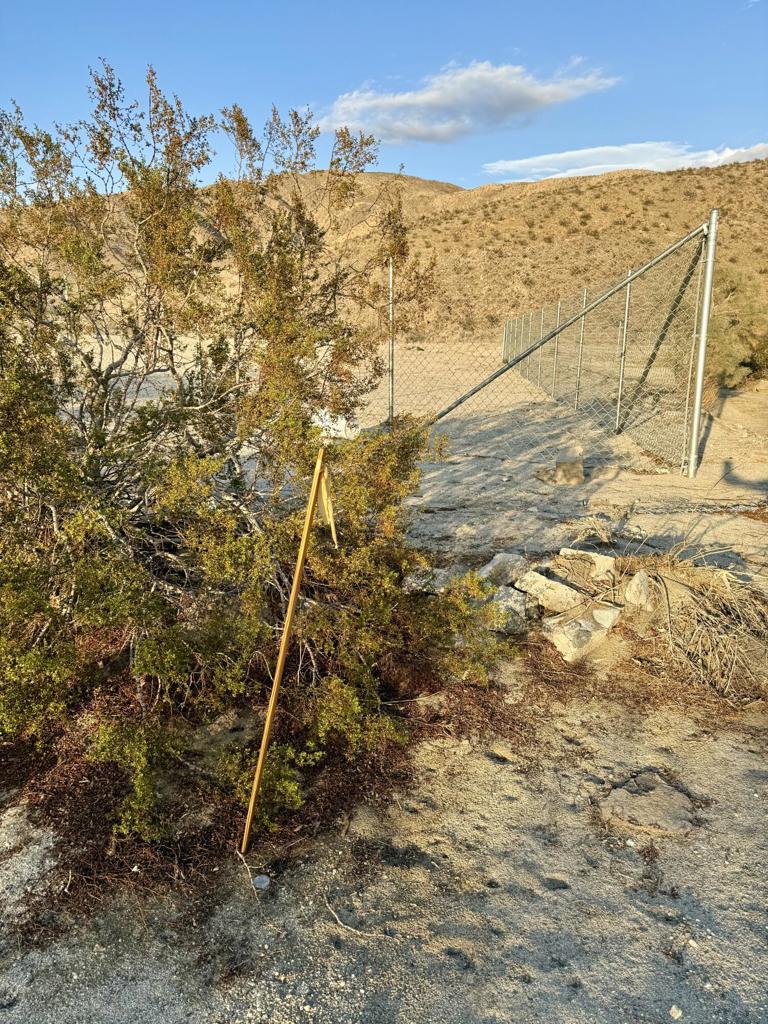 MLS #219136766DA image #7