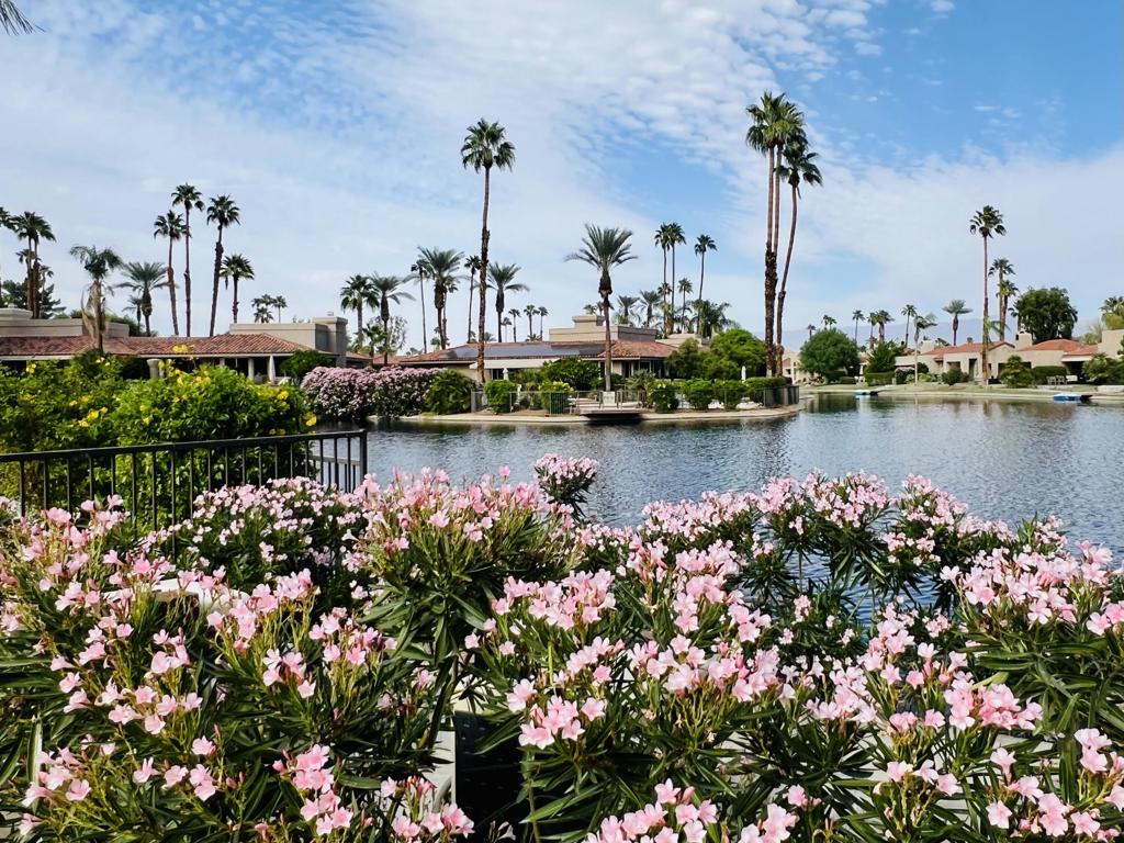 MLS #219136815DA image #35