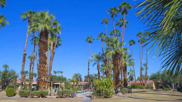 MLS #219136837DA image #39