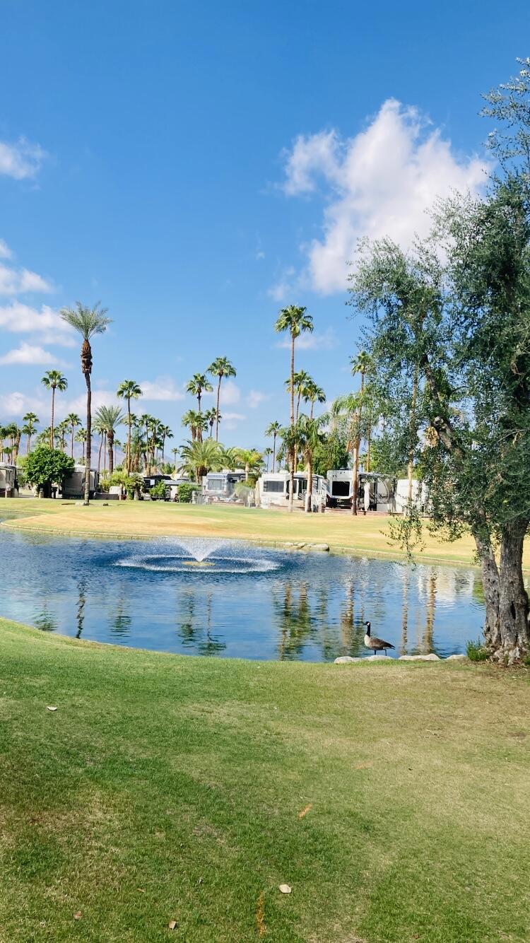 MLS #219136838DA image #12