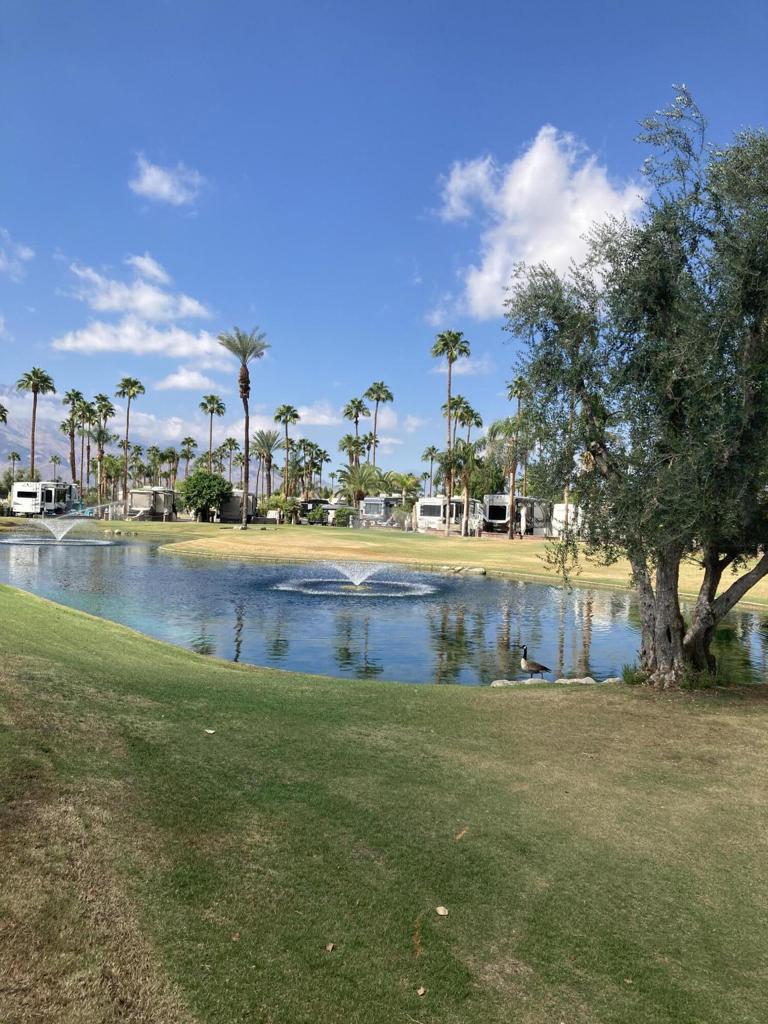 MLS #219136838DA image #13