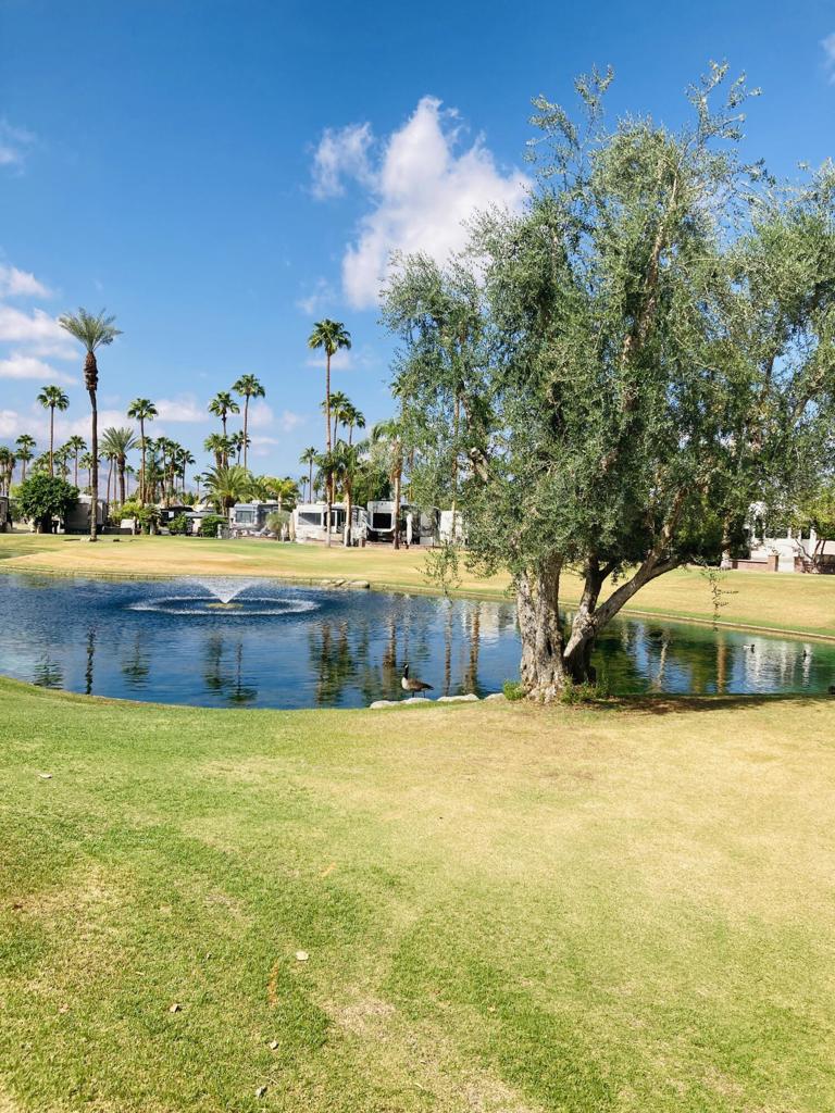 MLS #219136838DA image #14