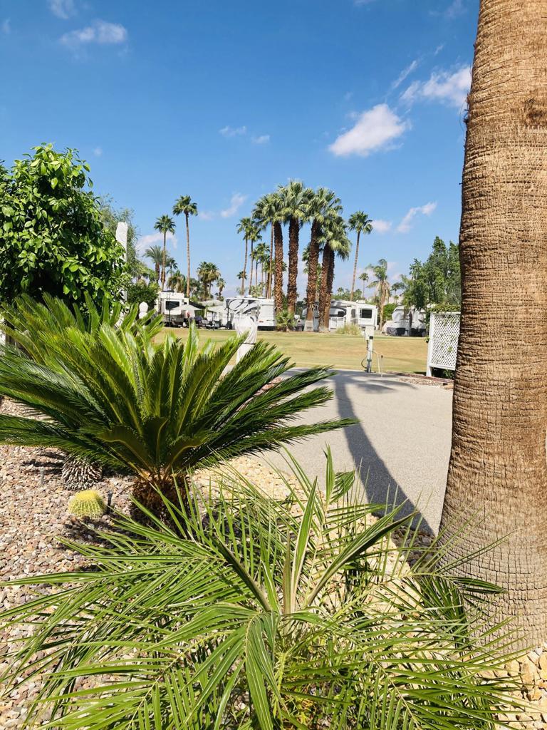 MLS #219136838DA image #15