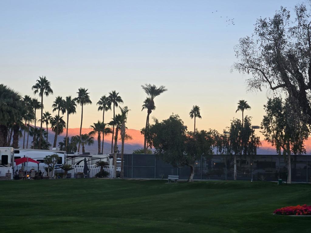 MLS #219136838DA image #5