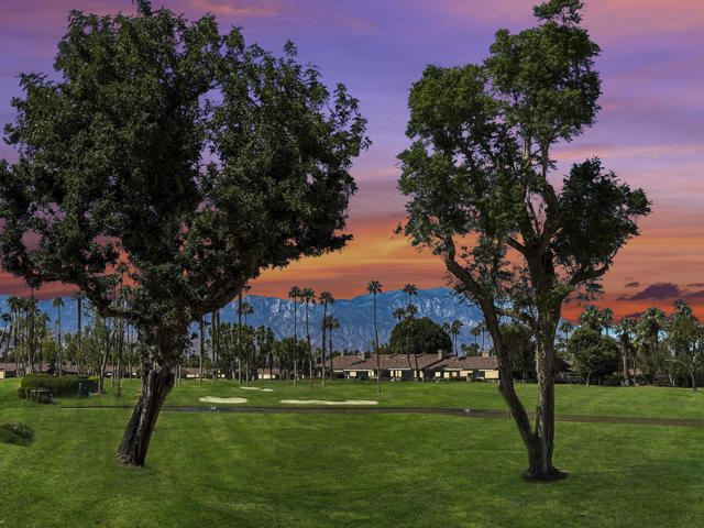 MLS #219136841DA image #43