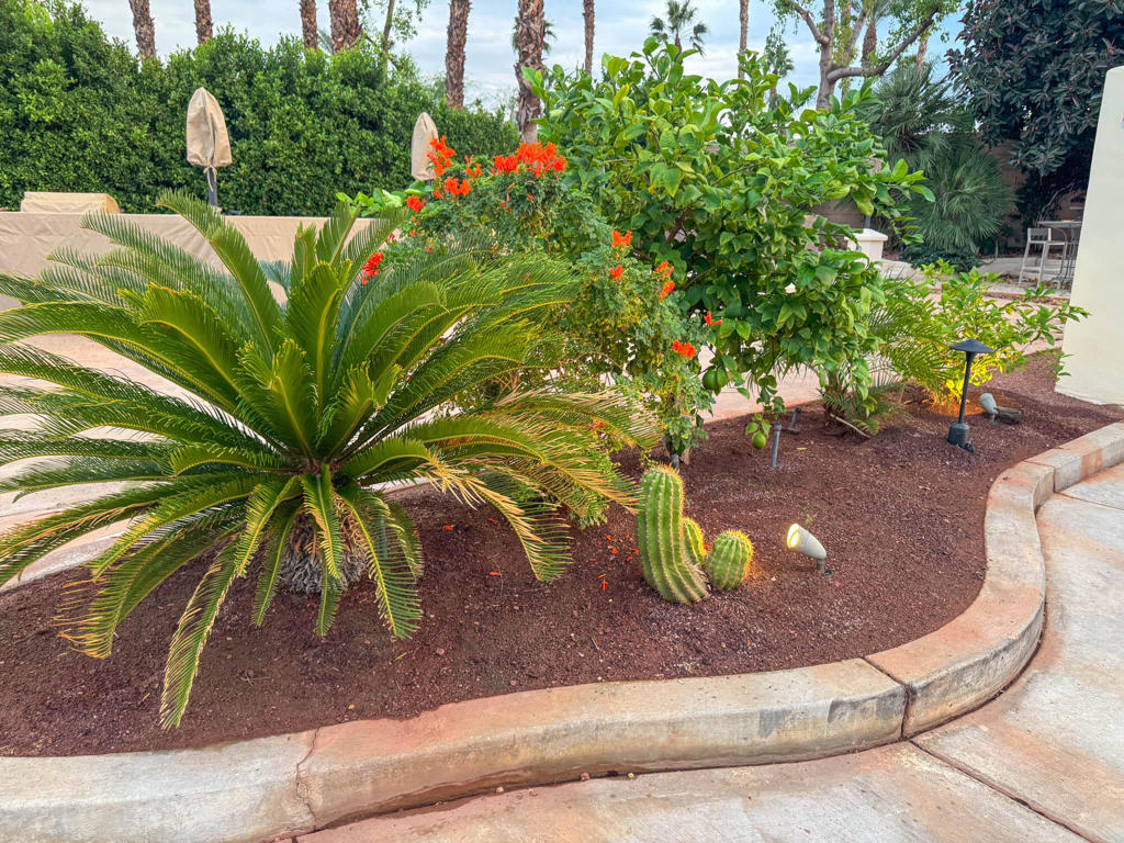 MLS #219136914DA image #11