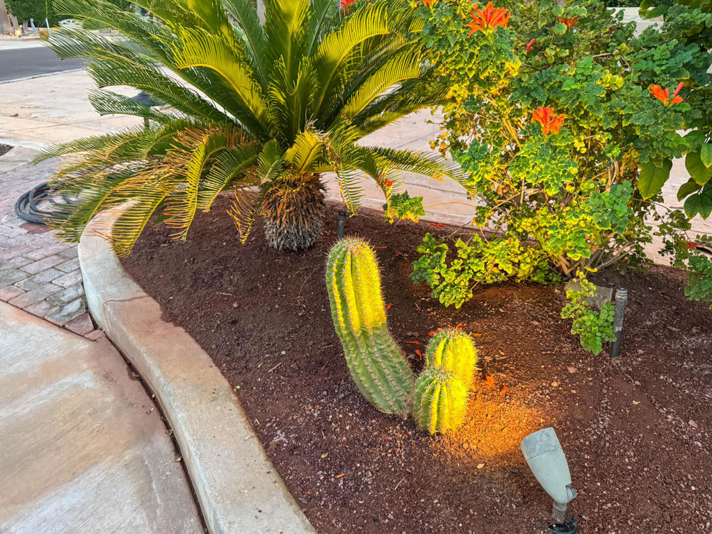 MLS #219136914DA image #29