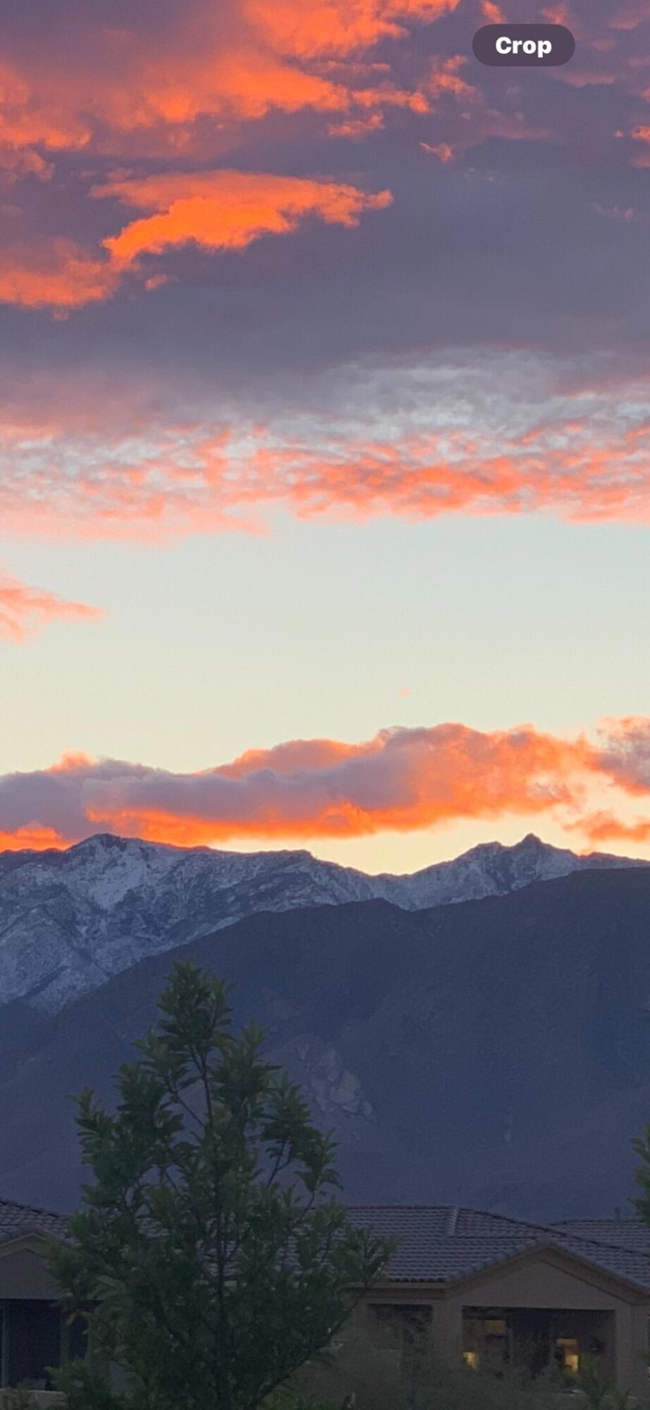 MLS #219136990DA image #44