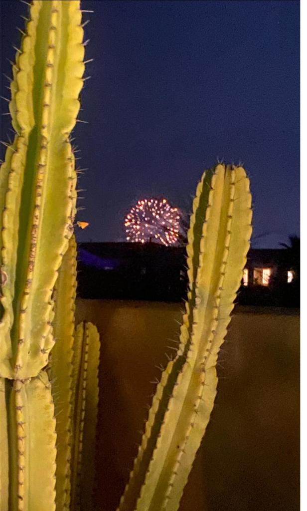 MLS #219136990DA image #45