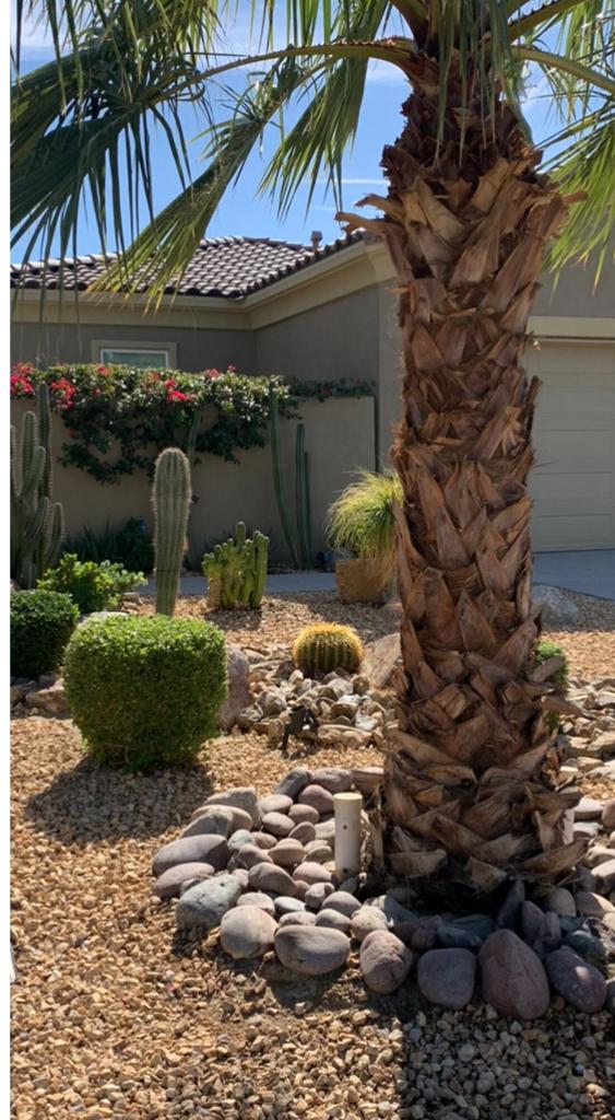 MLS #219136990DA image #46