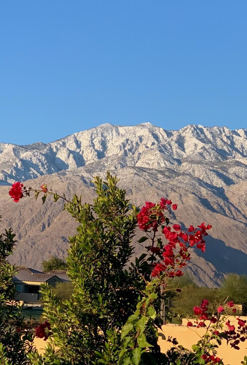 MLS #219136990DA image #47