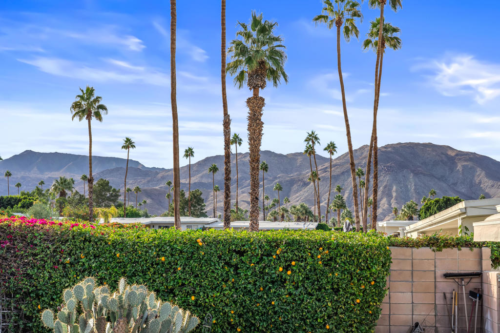 MLS #219137048PS image #41