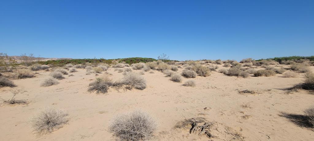 MLS #219137102PS image #11