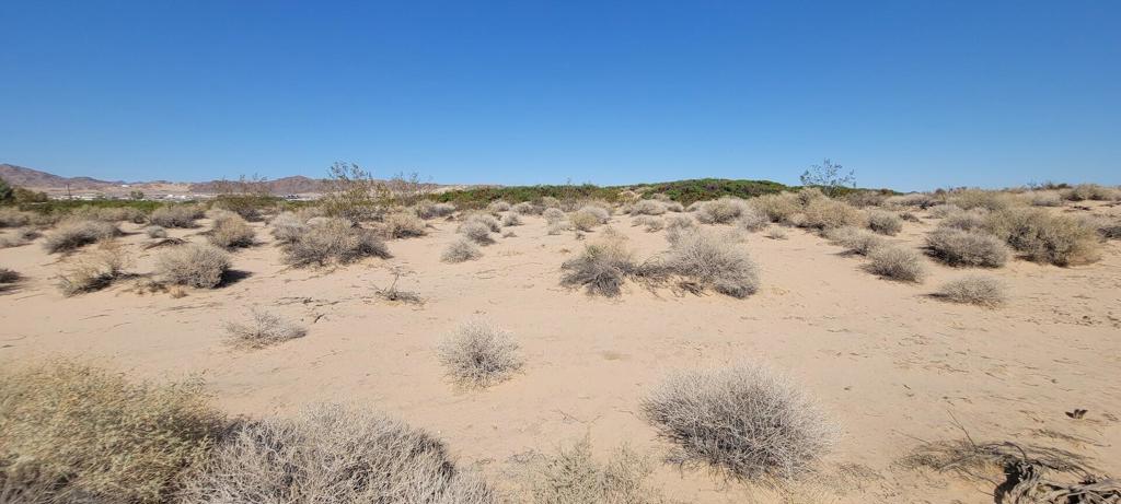 MLS #219137102PS image #13