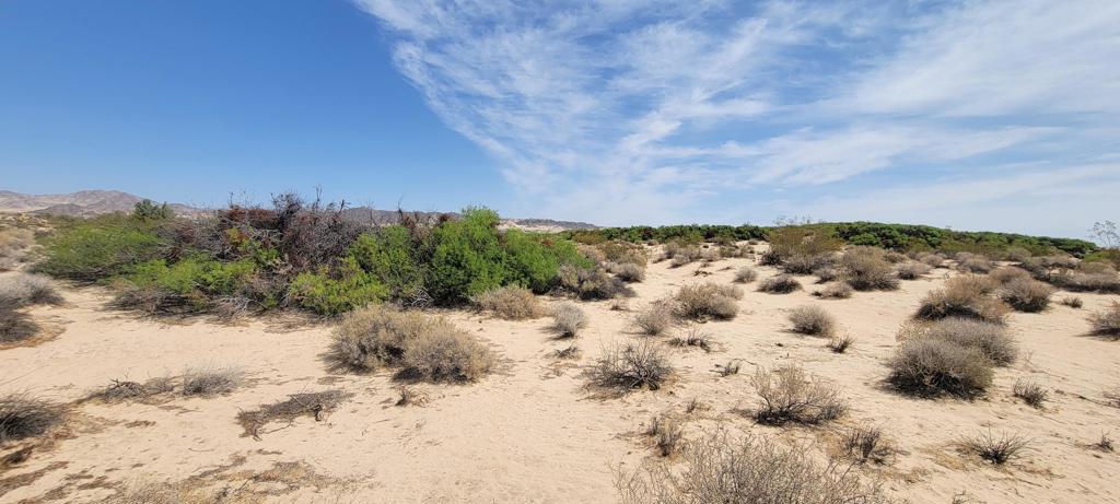 MLS #219137102PS image #14