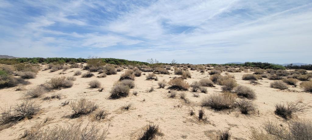 MLS #219137102PS image #15