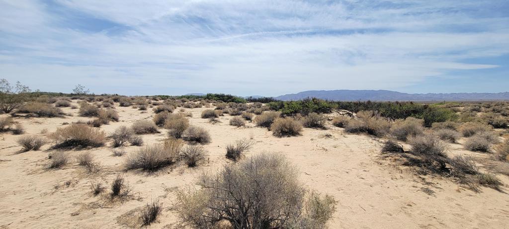 MLS #219137102PS image #16