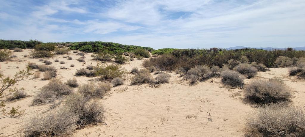 MLS #219137102PS image #19