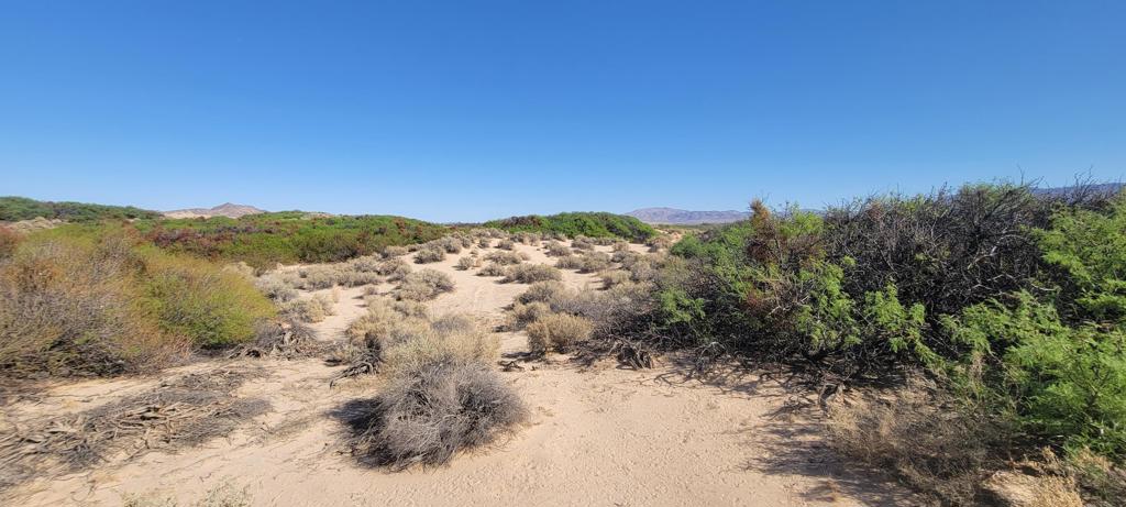 MLS #219137102PS image #2