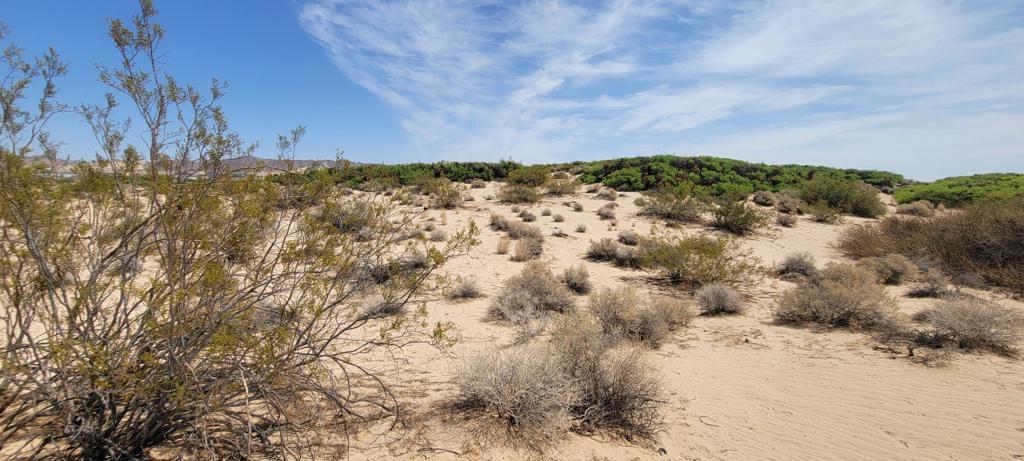 MLS #219137102PS image #21