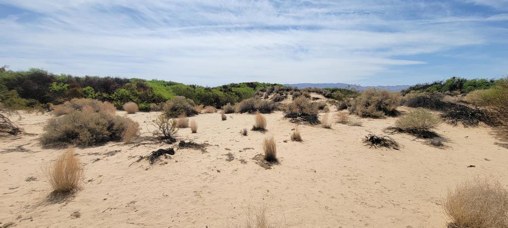 MLS #219137102PS image #22