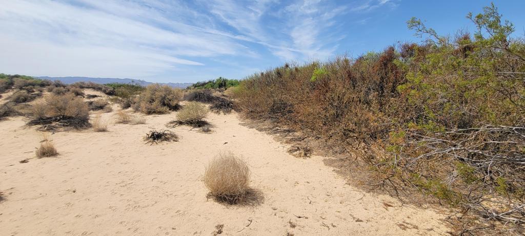 MLS #219137102PS image #23