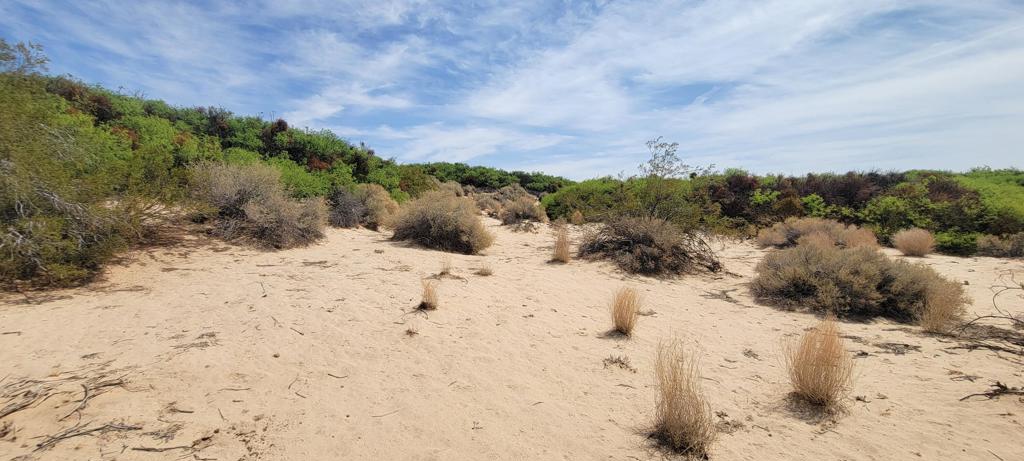 MLS #219137102PS image #24